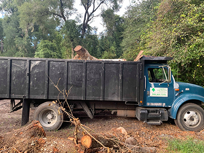 Dump truck hauling cut logs and debris