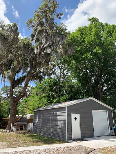 Before: heavy moss hanging over roof line